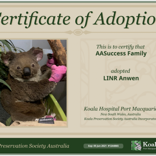 aasuccess-community-project-koalas2
