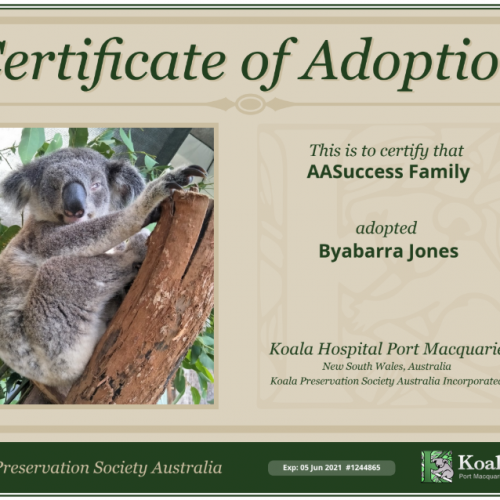 aasuccess-community-project-koalas3