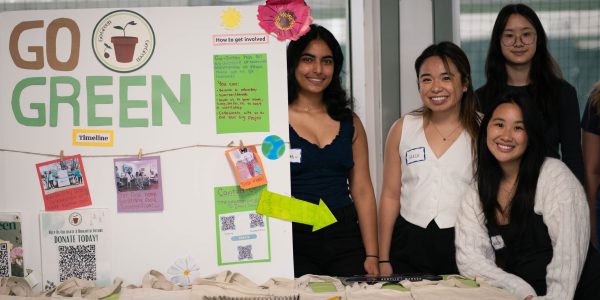 go green (1) (Throughthelookingvee)